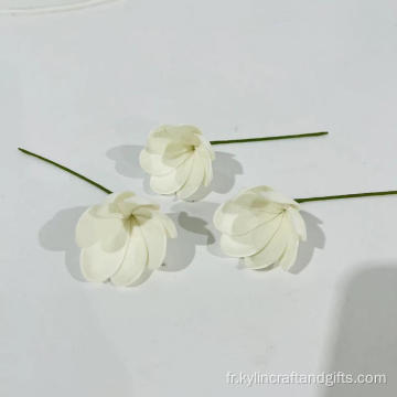 Maline à la main Mini Agapétes Lacei Flower Coil Pick